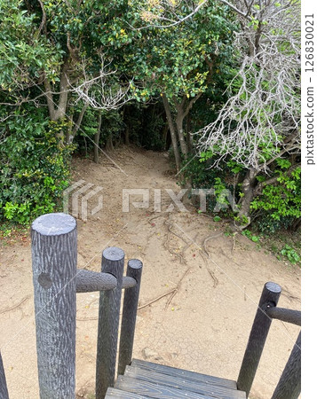 糸島：山上眺望 126830021