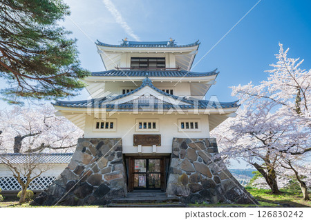 "Aomori Prefecture" Spring scenery of Sannohe Castle with cherry blossoms in bloom, Sannohe Town 126830242