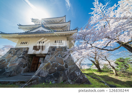 "Aomori Prefecture" Spring scenery of Sannohe Castle with cherry blossoms in bloom, Sannohe Town 126830244