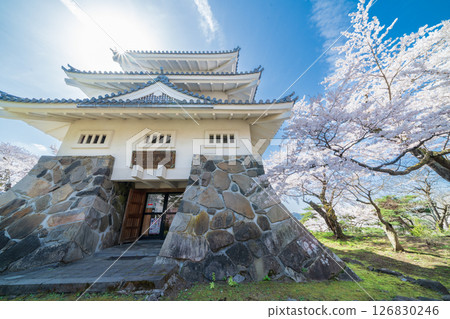 青森縣 三戶城的春天景色,櫻花盛開,三戶町 青森縣 三戶城的春天景色,櫻花盛開,三戶町 126830246