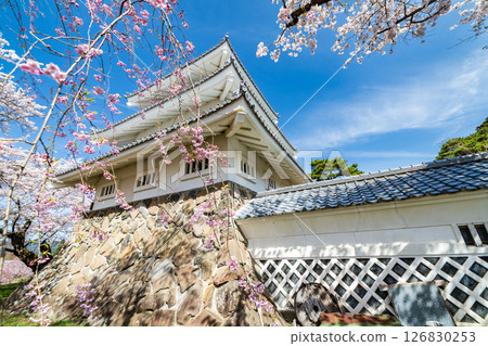 青森縣 三戶城的春天景色，櫻花盛開，三戶町 126830253