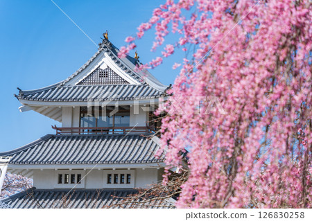青森縣 三戶城的春天景色，櫻花盛開，三戶町 126830258