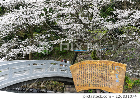 告示牌/資訊板 「田園風光中的神社與櫻花」(瀨田神社) 大津町瀨田 告示牌/資訊板 「田園風光中的神社與櫻花」(瀨田神社) 大津町瀨田 126831074