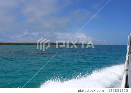 Regular ferry heading to Ishigaki Port (off the coast of Taketomi Island) 126831220