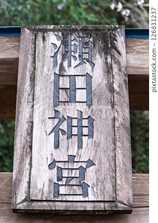 Plaque: "A shrine and cherry blossoms in a lush rural landscape" (Seta Shrine) Seta, Otsu Town 126831237