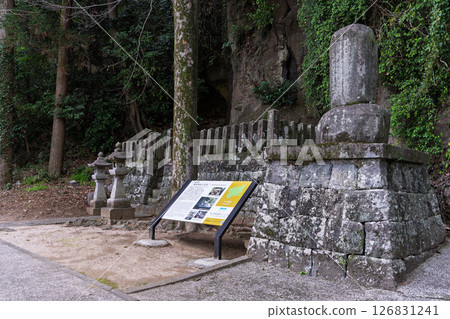 Scenery of the shrine grounds: "A shrine and cherry blossoms in a lush rural setting" (Seta Shrine) Seta, Otsu Town 126831241