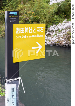 Signboard/information board "A shrine and cherry blossoms in a lush rural landscape" (Seta Shrine) Seta, Otsu Town 126831691