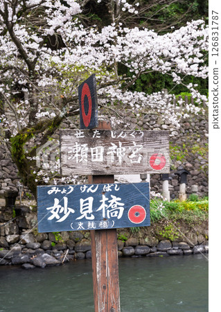 Signboard/information board "A shrine and cherry blossoms in a lush rural landscape" (Seta Shrine) Seta, Otsu Town Signboard/information board "A shrine and cherry blossoms in a lush rural landscape" (Seta Shrine) Seta, Otsu Town 126831787