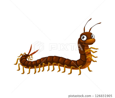 Cartoon funny centipede insect character. Cute insect or animal with long multi-legged body isolated vector personage. Venomous centipede or scolopendra arthropod funny character or cartoon mascot Cartoon funny centipede insect character. Cute insect or animal with long multi-legged body isolated vector personage. Venomous centipede or scolopendra arthropod funny character or cartoon mascot 126831905