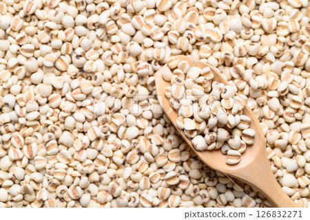 Dried Job's tears or adlay millet seeds background with wooden scoop, Food ingredient 126832271