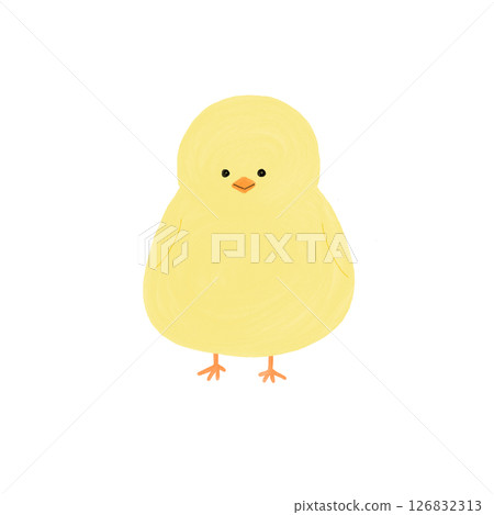 小雞面朝前方 126832313
