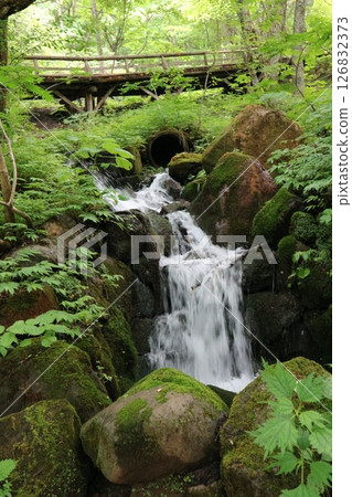 Small waterfall in the forest 126832373