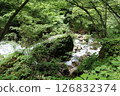Brook flowing through the forest 126832374