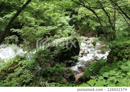 溪流穿過森林 126832374