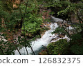 Falls flowing through the forest 126832375