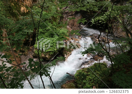 落在森林裡流淌 126832375