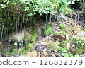 Rocky landscape 126832379