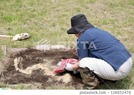 Back view of a senior woman spreading fertilizer in her vegetable garden Back view of a senior woman spreading fertilizer in her vegetable garden 126832478