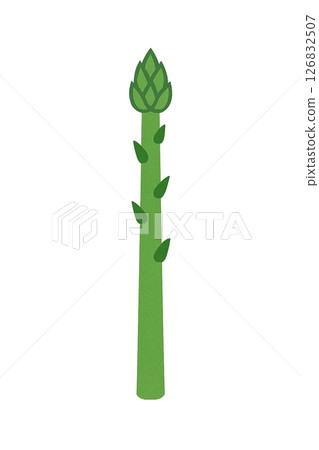 蘆筍插圖（扁平的綠色蔬菜） 126832507