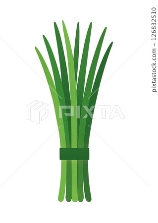 細香蔥平面插圖 細香蔥平面插圖 126832510