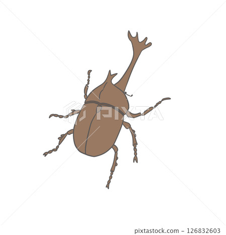 雄性甲蟲 126832603