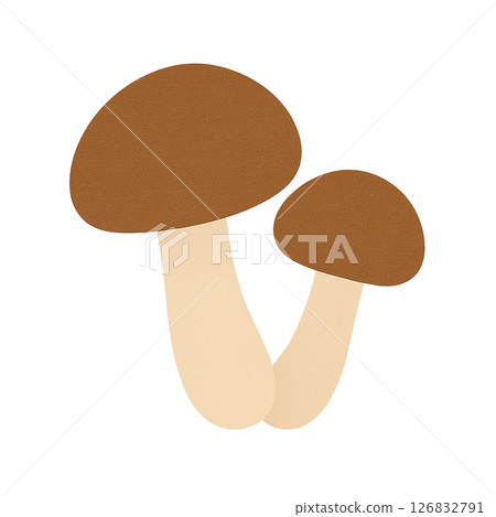 姬菇平面插圖 126832791