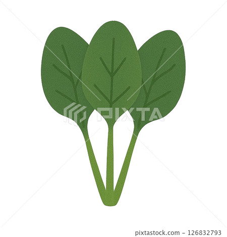 菠菜平面插圖 菠菜平面插圖 126832793