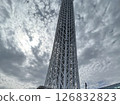 天空樹 126832823
