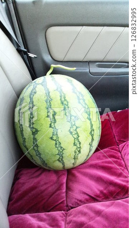 Watermelon in the passenger seat Watermelon in the passenger seat 126832995