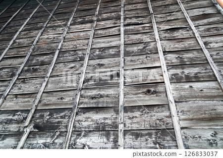 樹的外牆 126833037