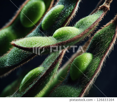 Close up of fresh green edamame pods with textured surface 126833164