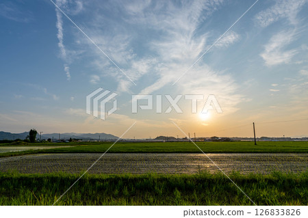 Scenery on the way home 126833826
