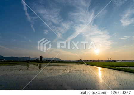 Scenery on the way home 126833827