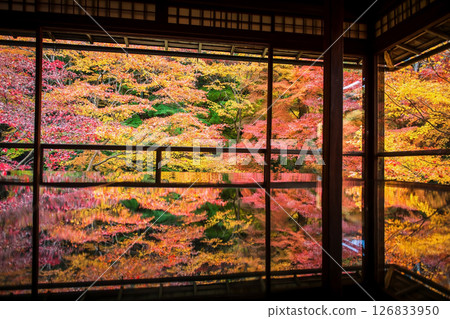 Autumn leaf garden with skyline reflection, Rurikoin temple, Kyoto Autumn leaf garden with skyline reflection, Rurikoin temple, Kyoto 126833950