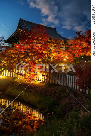 Kurodani Konkai Komyoji temple light up in fall at dusk, Kyoto Kurodani Konkai Komyoji temple light up in fall at dusk, Kyoto 126833954