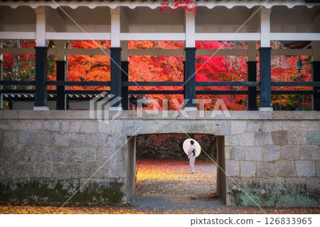 woman in kimono with autumn leaf color, Nanzenji temple, Kyoto woman in kimono with autumn leaf color, Nanzenji temple, Kyoto 126833965