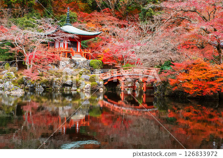 Diagoji pagoda with autumn leaf and skyline reflection on pond, Kyoto 126833972