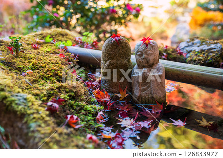 Jizu statue with red maple leaves on Bishamondo water basin, Kyoto Jizu statue with red maple leaves on Bishamondo water basin, Kyoto 126833977