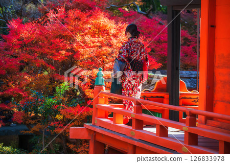Japanese woman in Kimono at Bishamondo temple at autumn, Kyoto 126833978
