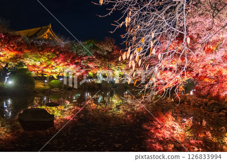 Toji temple and colorful autumn leaf light up at night, Kyoto Toji temple and colorful autumn leaf light up at night, Kyoto 126833994