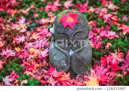 Jizo smiling Buddha with red fall maple leaf at enkoji temple, Kyoto 126833997
