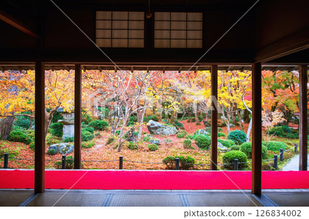 Japanese autumn leaf garden view from Enkoji temple hall balcony, Kyoto Japanese autumn leaf garden view from Enkoji temple hall balcony, Kyoto 126834002