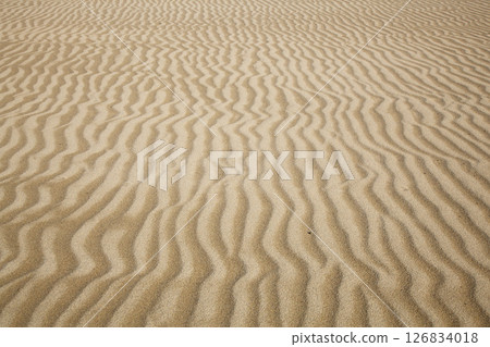 Tottori sand dunes and their patterns in spring Tottori prefecture Tottori sand dunes 126834018