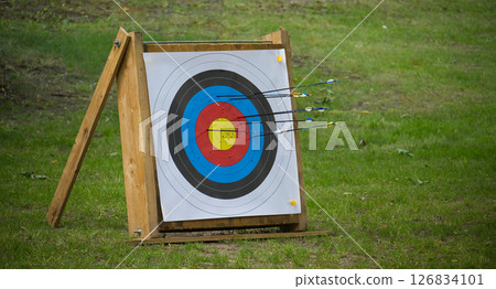 Archery Target With Arrows Outdoors on a Wooden Frame in a Green Field 126834101