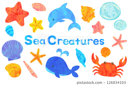 海洋生物插圖集向量素材 126834103