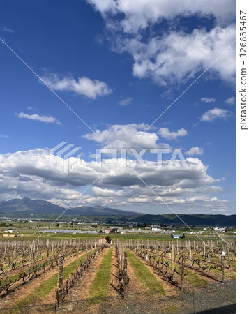 北海道的視圖 126835467