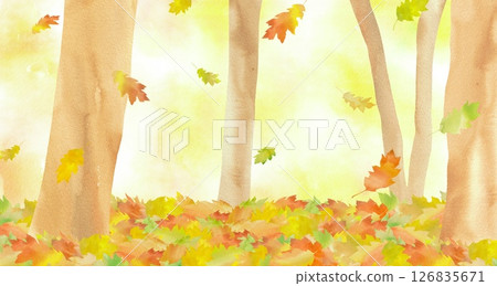 A scene of colorful leaves falling in the autumn forest. A gentle worldview reminiscent of a picture book, using watercolors. 126835671