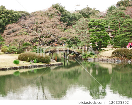 六義園的龍橋（東京都文京區） 126835802