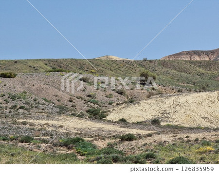 Amazing Desert Landscape In Spring Amazing Desert Landscape In Spring 126835959