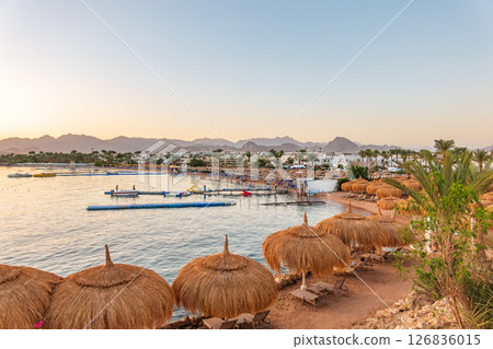 Straw umbrellas on empty beach. Beautiful empty beach with sun umbrellas and sunbeds Straw umbrellas on empty beach. Beautiful empty beach with sun umbrellas and sunbeds 126836015